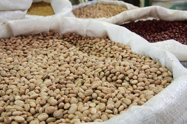 Brasil aumenta importação de feijão para reduzir preço