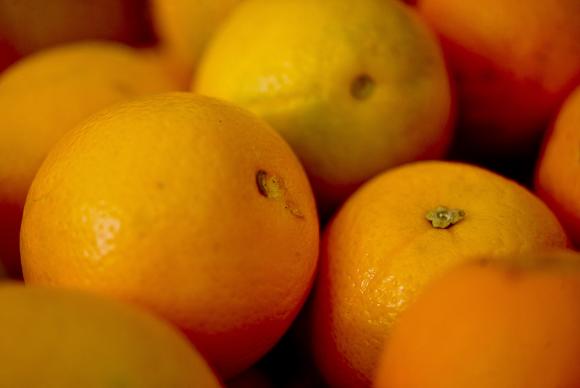 Exportação de frutas cresce 18,3% nos primeiros meses de 2018